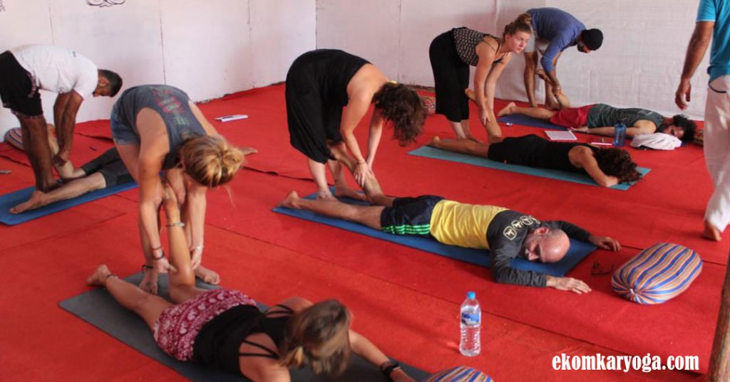 yoga teacher training