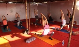 yoga-teacher-training-india-3
